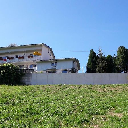 Haus Homann Apartman Sulzberg Kültér fotó